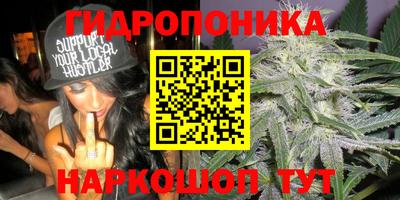 прущие грибы Усть-Джегута