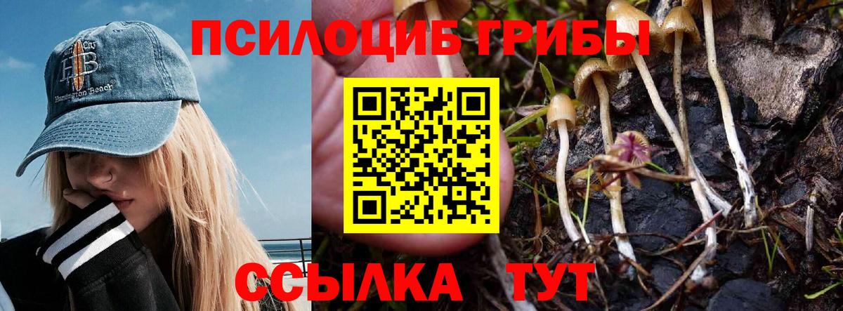 Белебей  Псилоцибиновые грибы GOLDEN TEACHER  Вход с VPN  Галлюциногенные грибы Psilocybe 