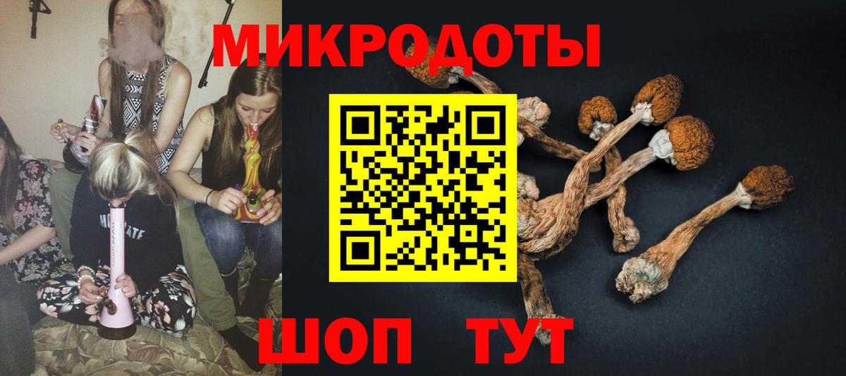 Псилоцибиновые грибы прущие грибы Белебей